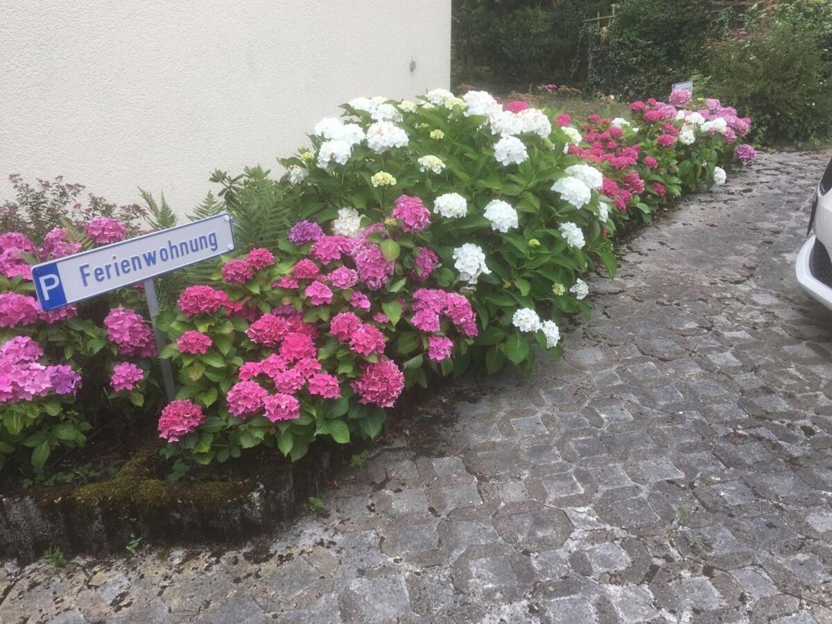 Ferienwohnung Loretta Traben-Trarbach Exteriör bild